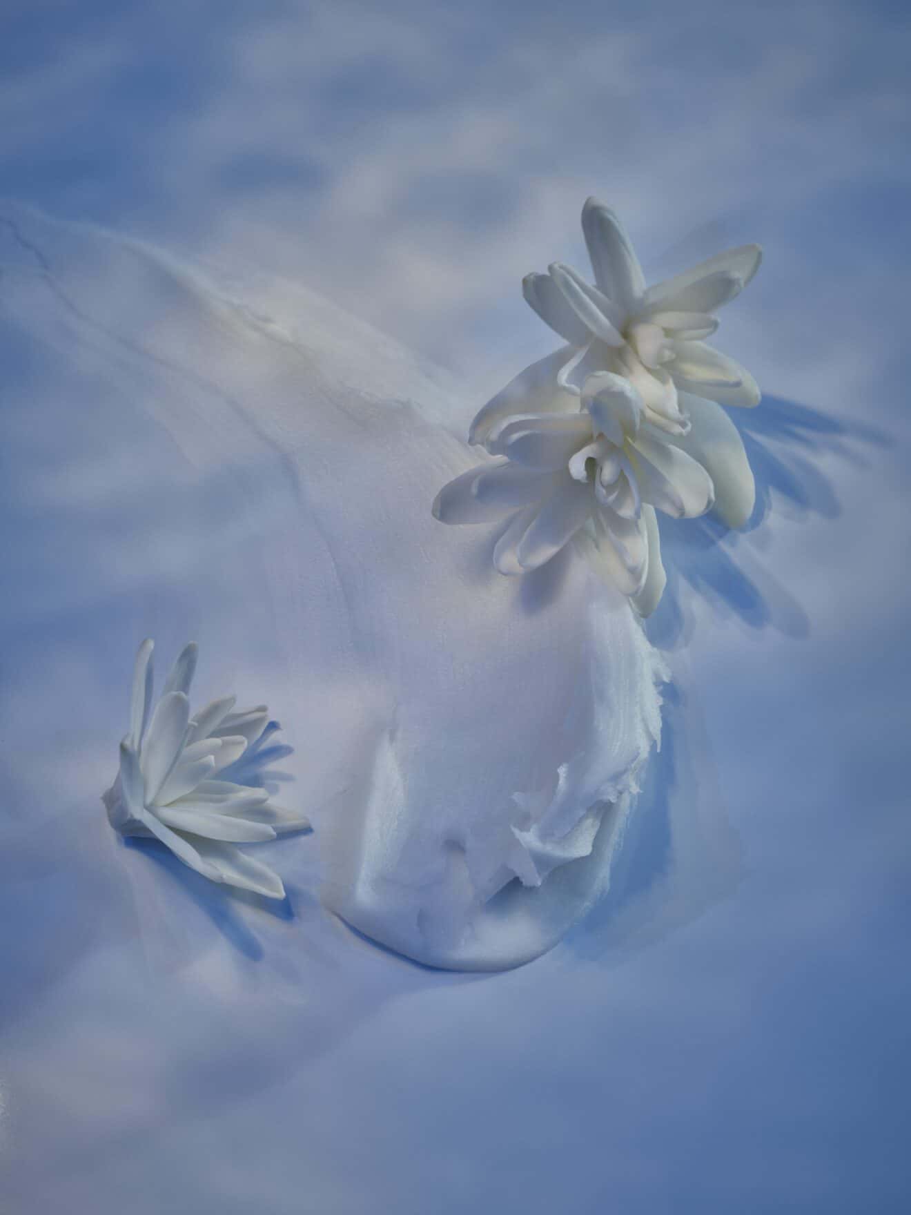 DIOR MAISON DE PARFUM