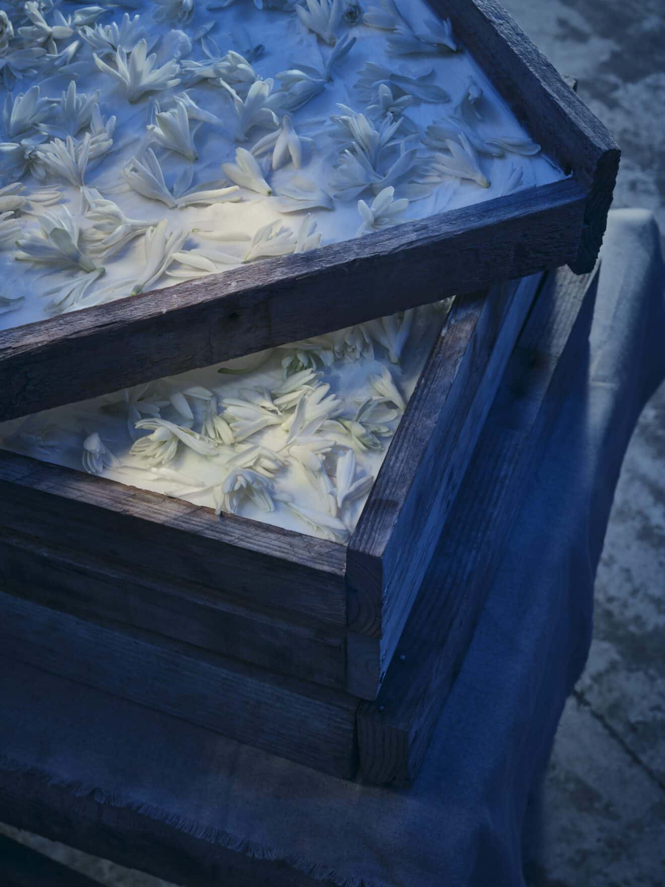 DIOR MAISON DE PARFUM