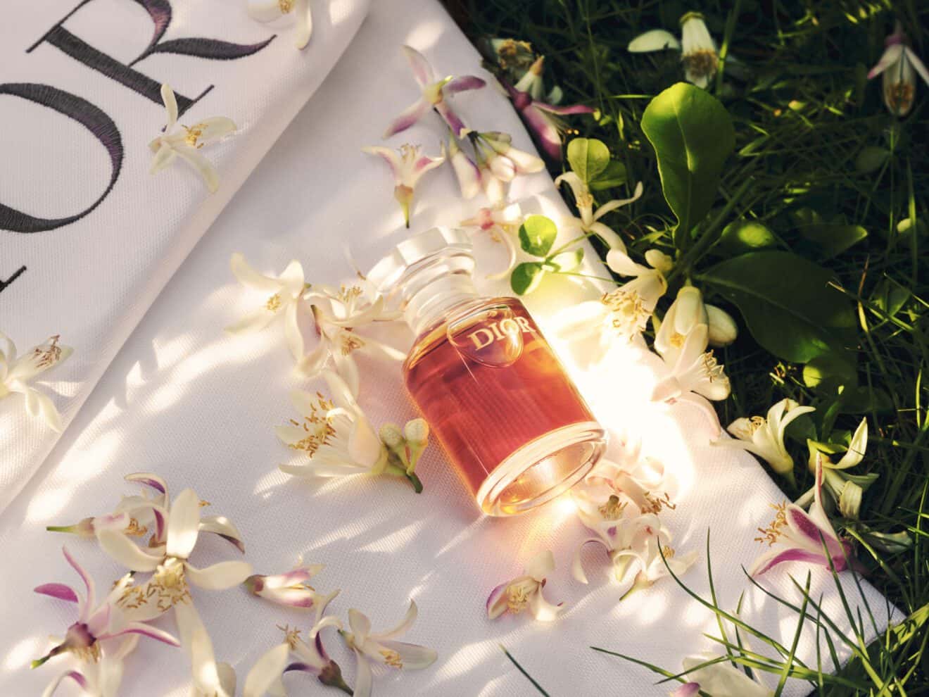 DIOR MAISON DE PARFUM