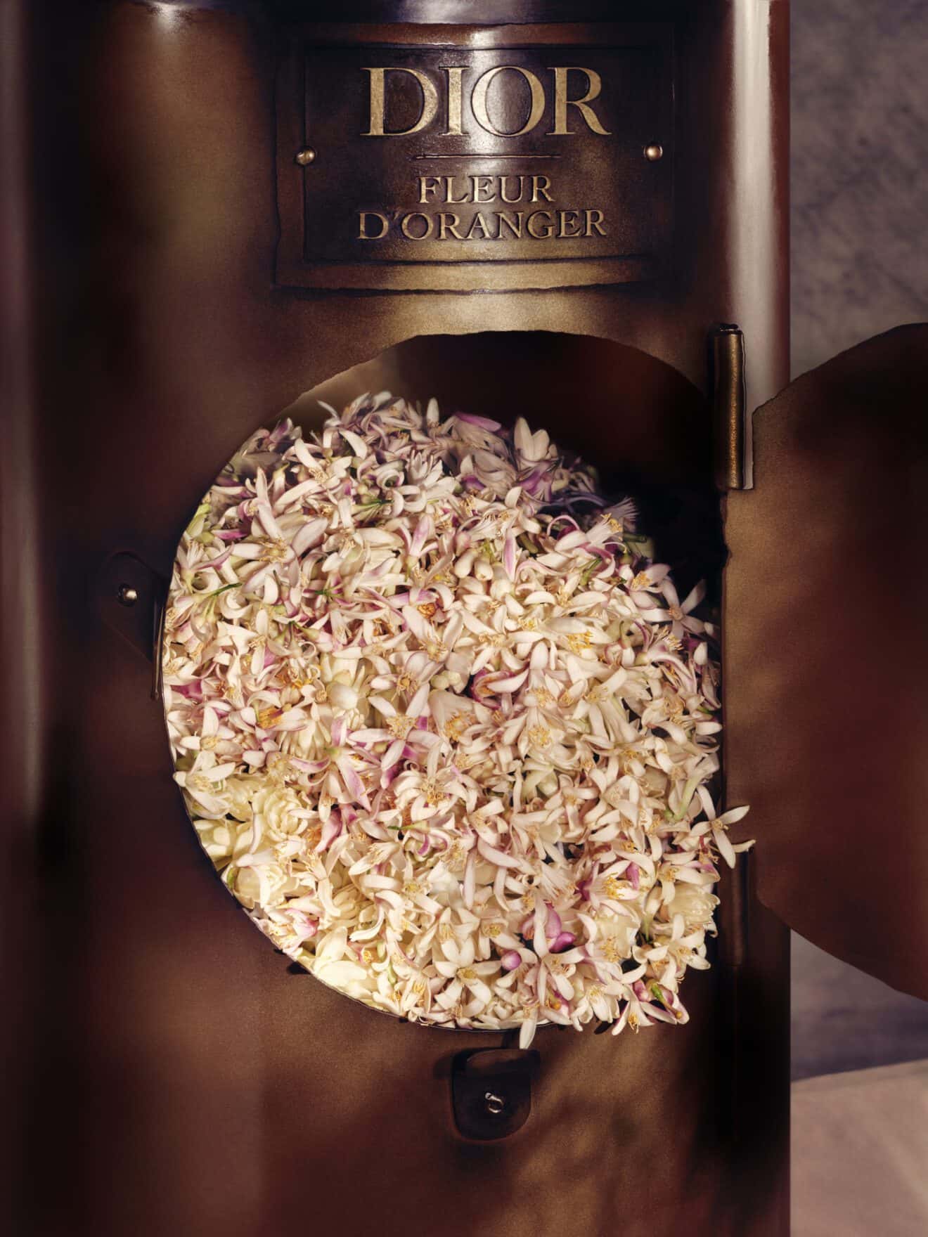 DIOR MAISON DE PARFUM