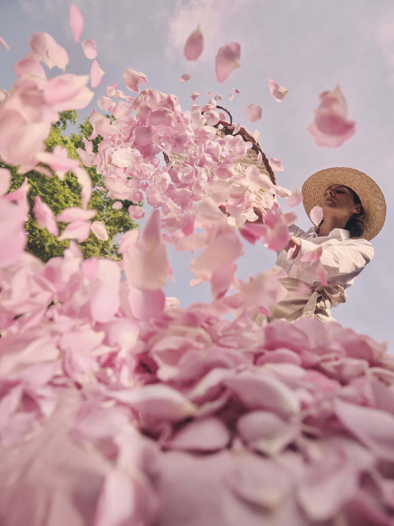 DIOR MAISON DE PARFUM