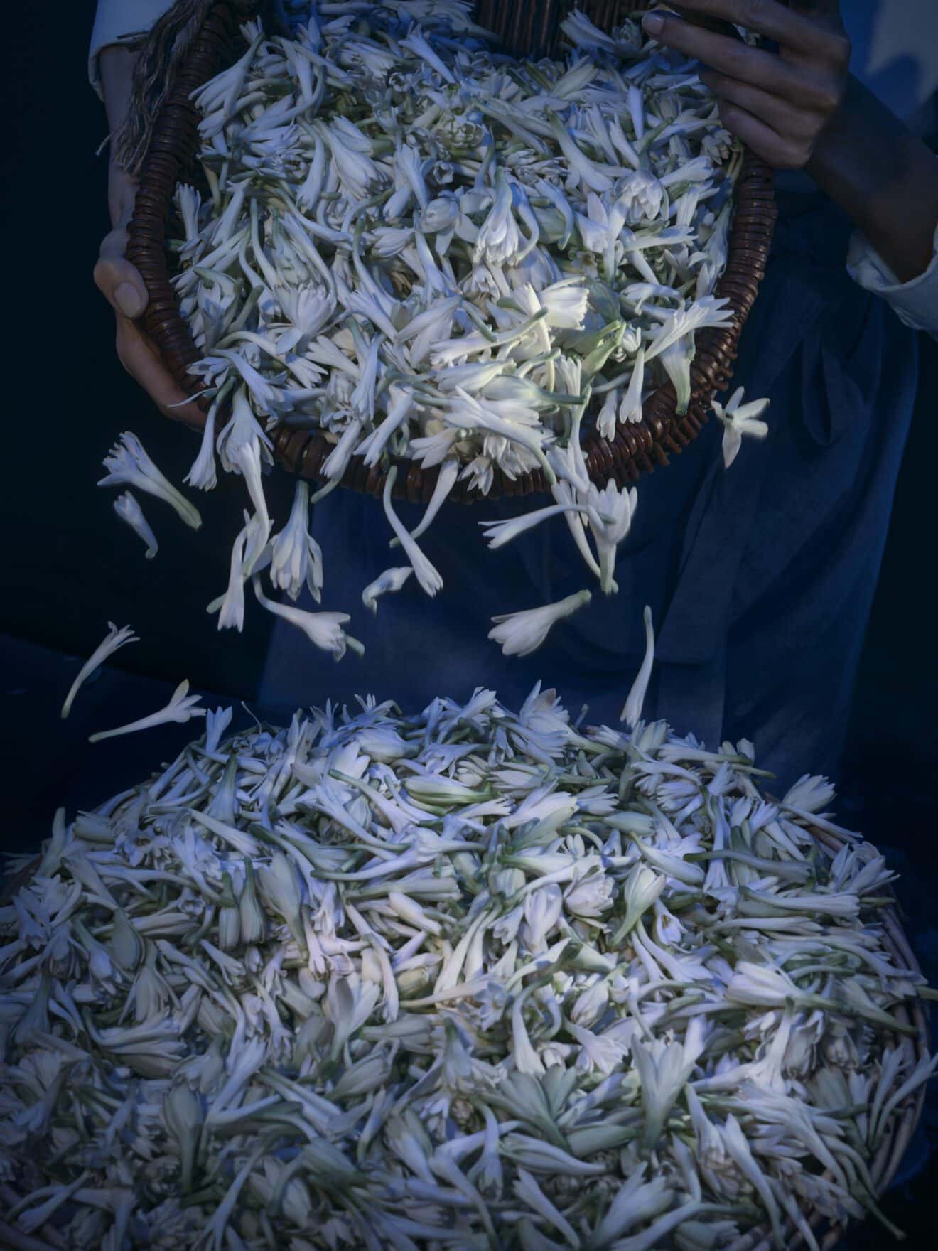 DIOR MAISON DE PARFUM